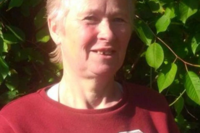 Погляд — новини Київщини онлайн - a1637566-c1bd-434a-940e-dd1abe5a8cf1 - зображення